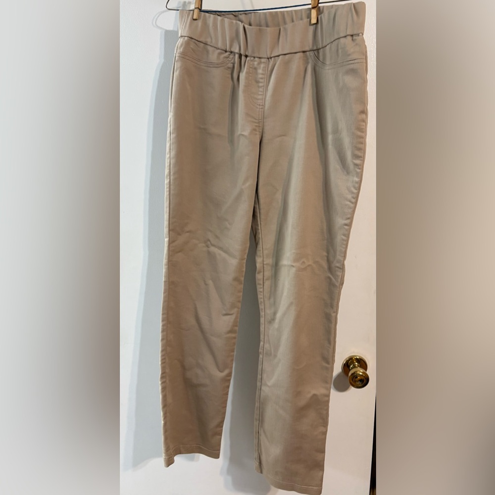 Kim Rogers Stretch Pull Up Dress Pants